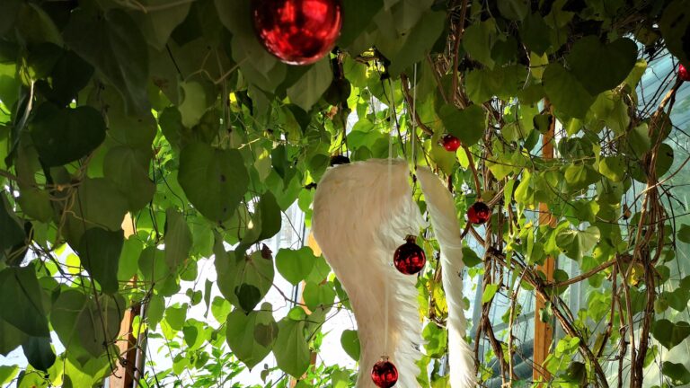 Im Gestaltungsunterricht der Technikerklasse Gartenbau erstellte Weihnachtsdekoration im Schulhaus