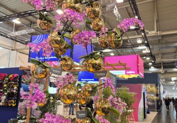 Exkursion zur Internationalen Pflanzenmesse nach Essen