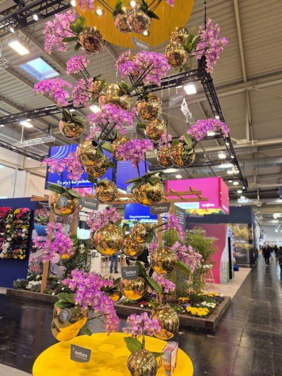 Exkursion zur Internationalen Pflanzenmesse nach Essen