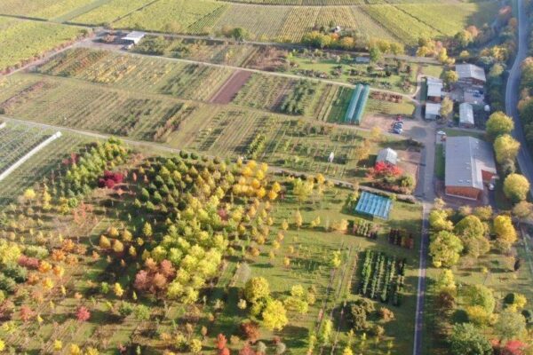 Versuchs- und Schaugarten für Obstbau und Gartengehölze: „Stutel“