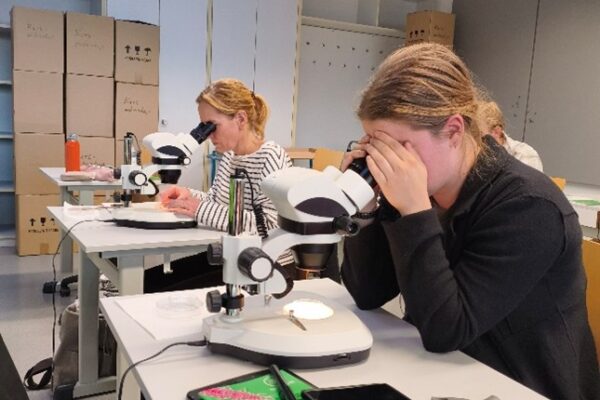 Nützlinge live erleben – ein spannender Seminartag im Zierpflanzenbau