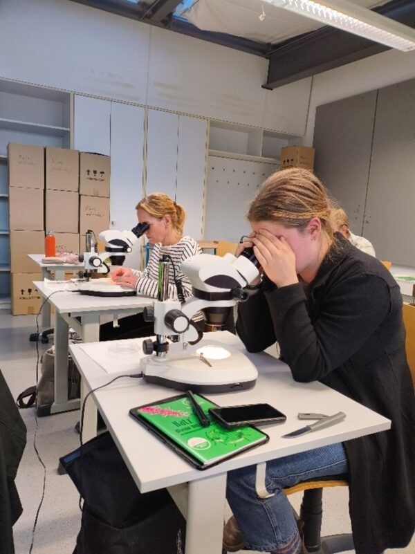 Nützlinge live erleben – ein spannender Seminartag im Zierpflanzenbau