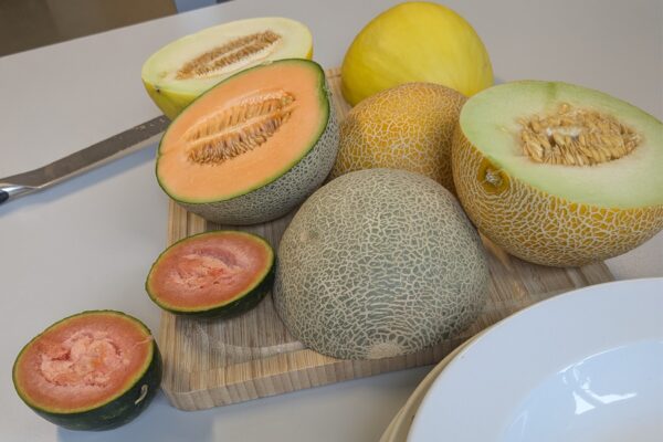 Süß, saftig, sortenreich – was unsere Melonenverkostung im Unterricht gezeigt hat