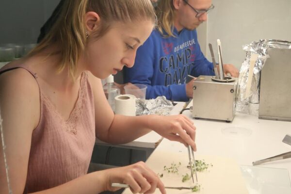 Von Veitshöchheim in die Welt: Möglichkeiten mit Erasmus+