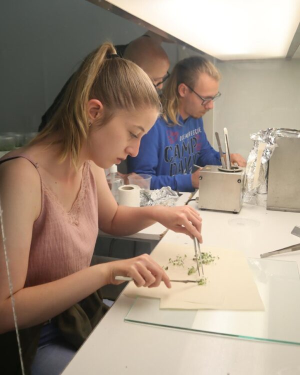 Von Veitshöchheim in die Welt: Möglichkeiten mit Erasmus+