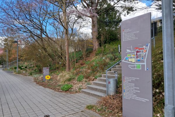 Der Weg von Italien in die LWG