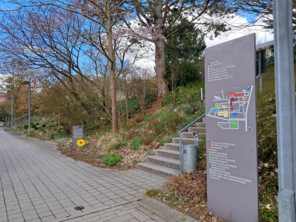 Der Weg von Italien in die LWG